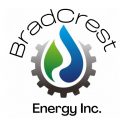 BradCrest logo 60x60